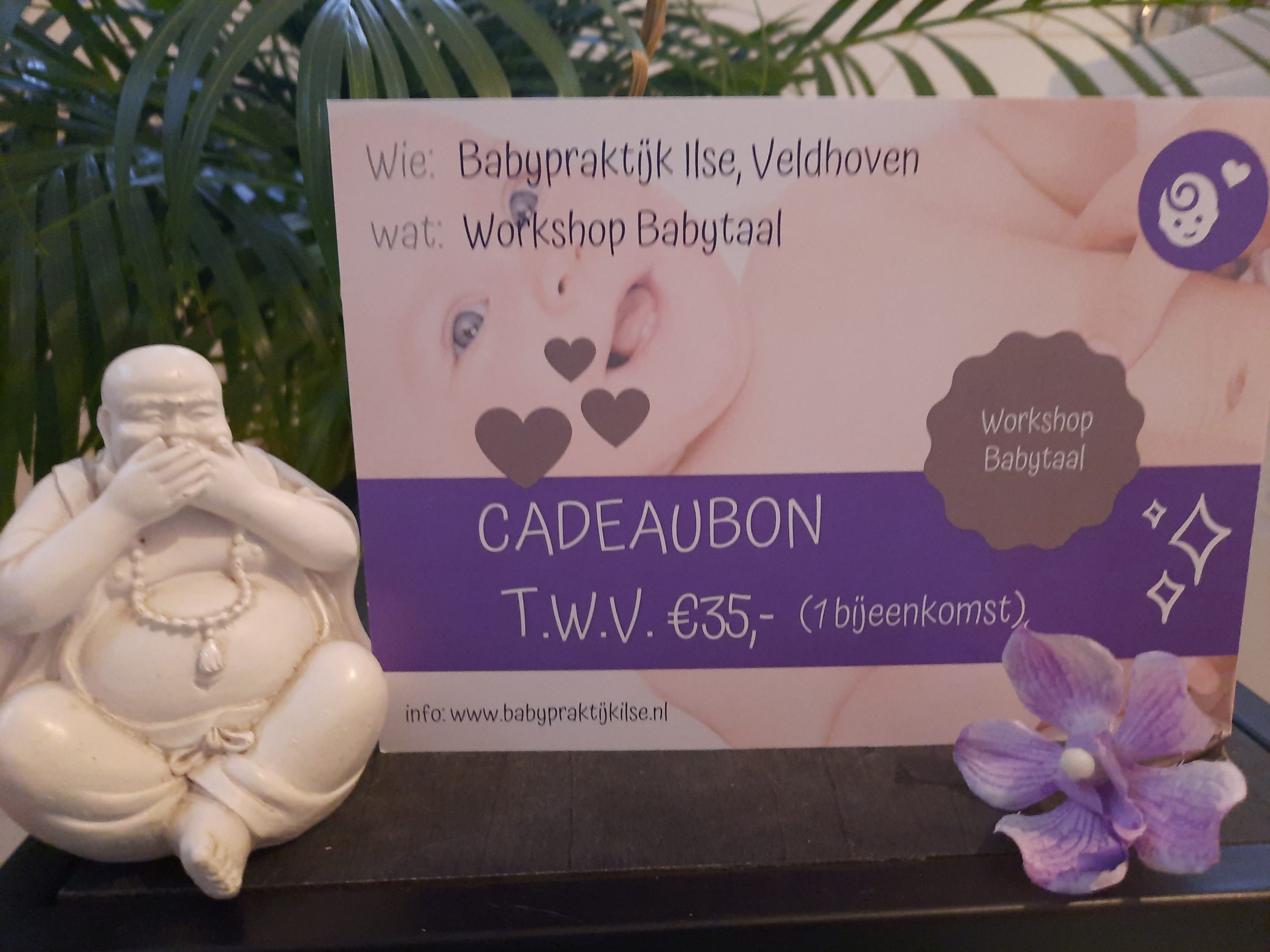 Baby language workshop